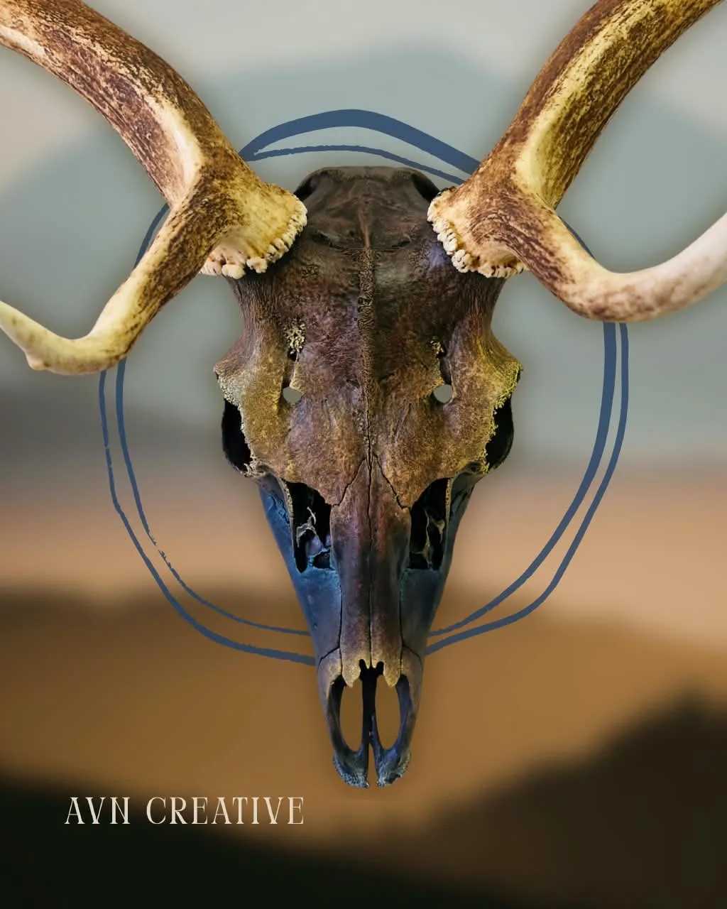 Antelope skull with curved horns, hand-toned in muted earth colours
