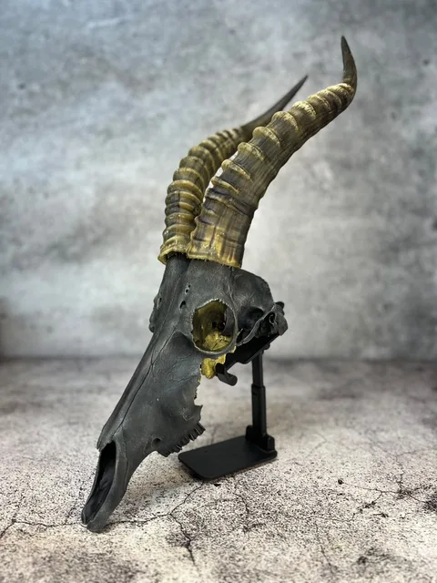Charcoal-finished antelope skull with gold-toned ridged horns and gold detail in the eye socket, on a display stand